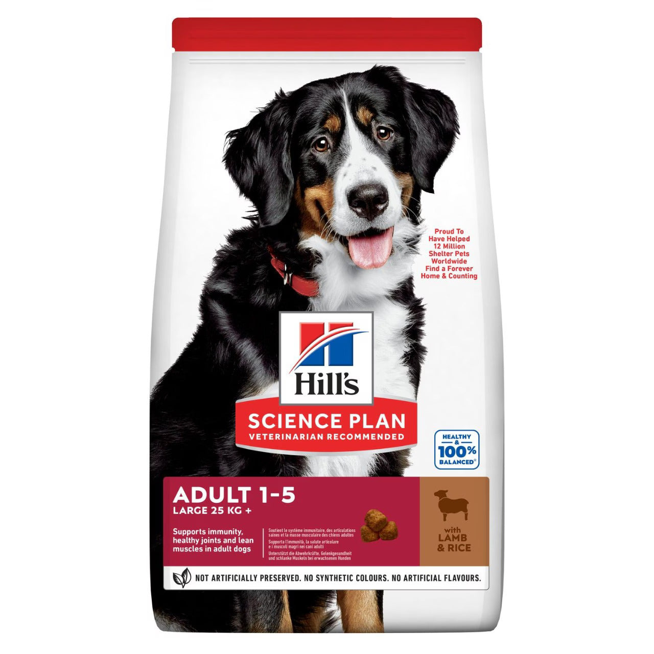 Hills Large Breed Adult Dog Dry Food - Lamb & Rice