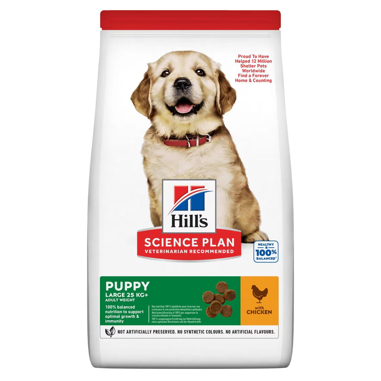 Hills Large Breed Puppy Dry Food - Chicken - back