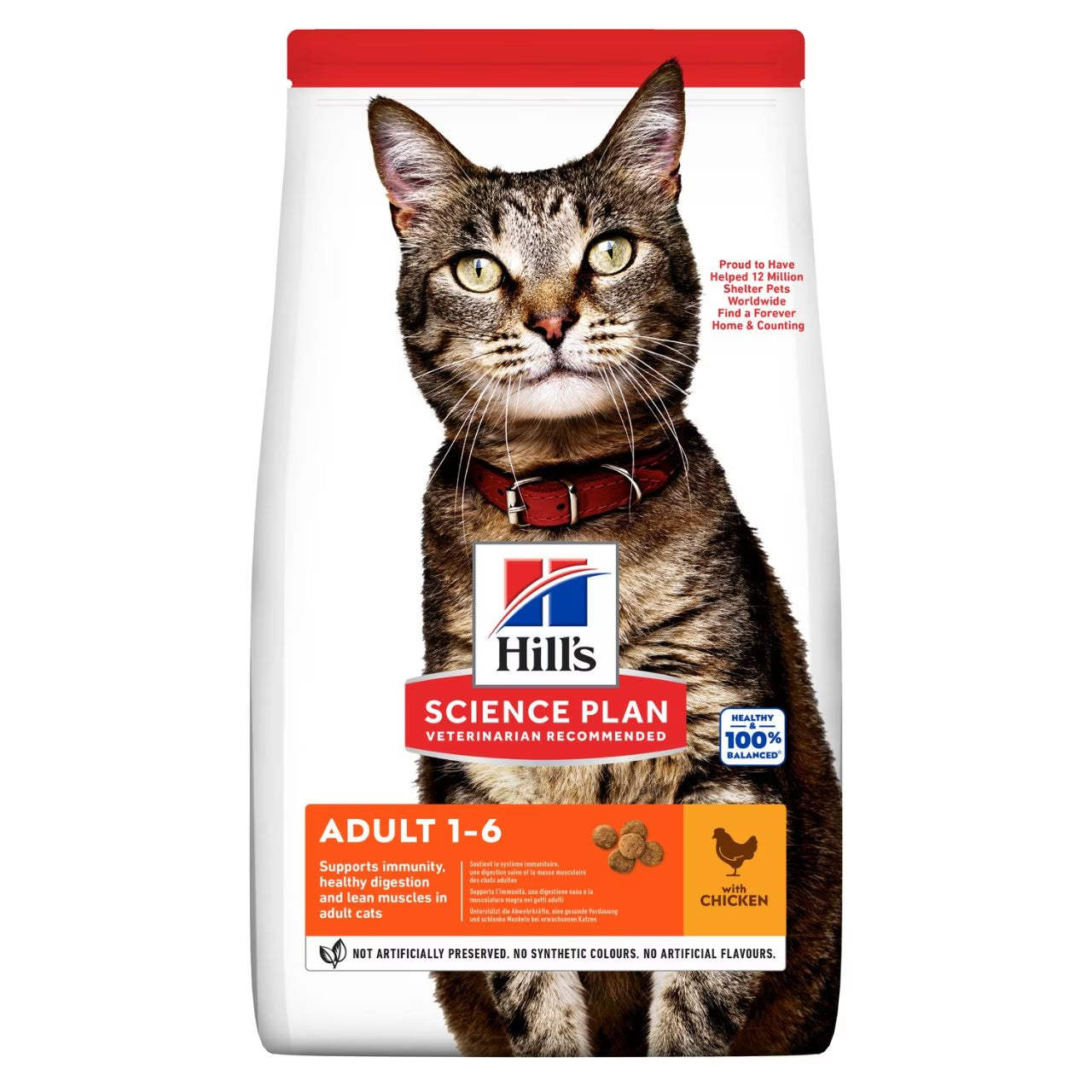 Hills Adult Cat Dry Food - Chicken